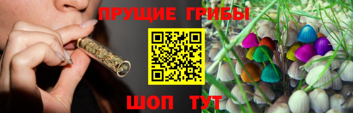 Псилоцибиновые грибы Psilocybe Невинномысск